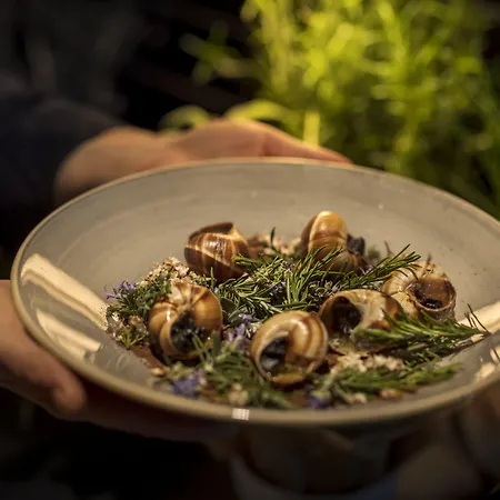 Adriatic By Maistra Collection 4*